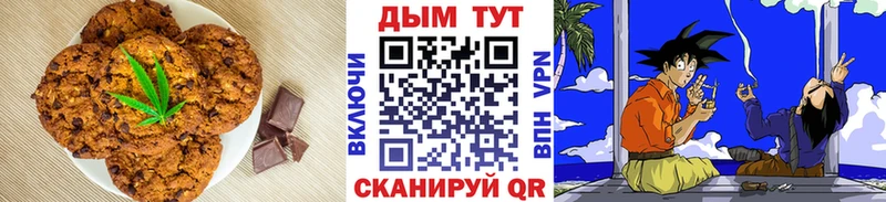 Canna-Cookies марихуана  купить наркотики сайты  Арзамас 