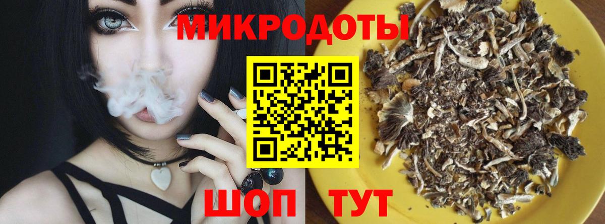 Арзамас  Псилоцибиновые грибы Psilocybine cubensis  Вход с VPN 